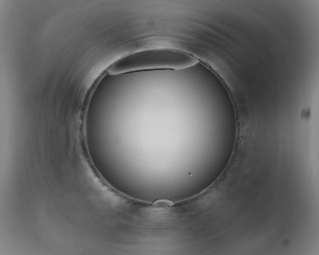 X0000110961134200906191306