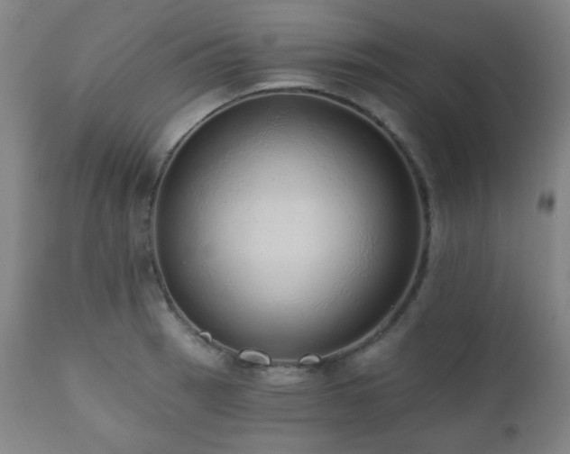 X0000110961137200906191306