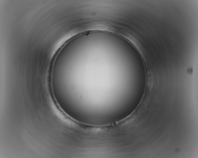 X0000110961139200906191306