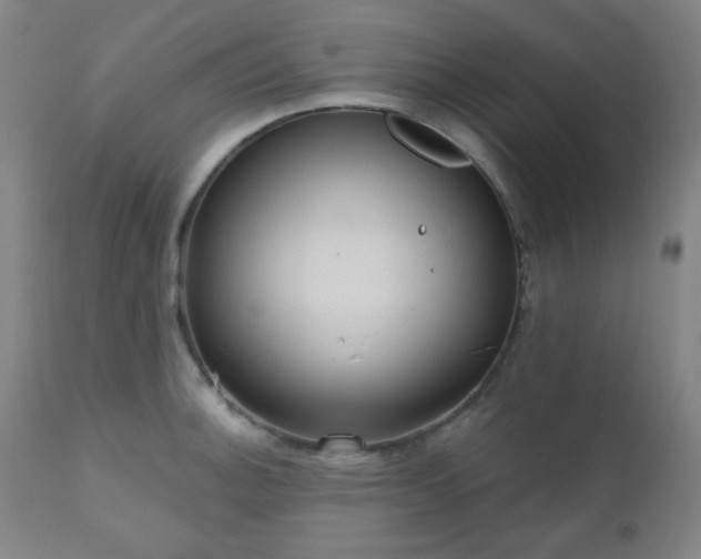 X0000110961140200906191306