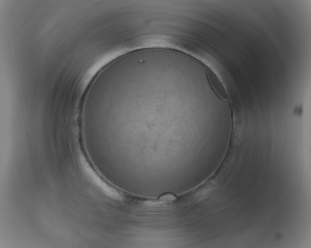 X0000110961142200906191306