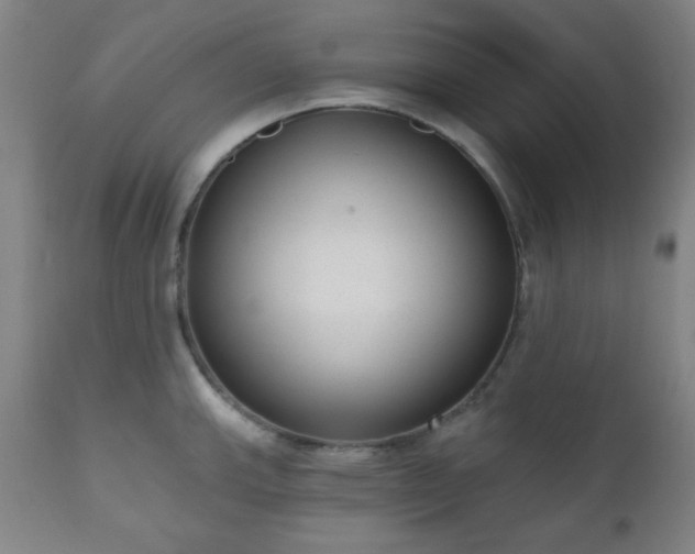 X0000110961143200906191306