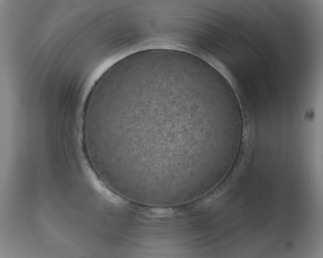 X0000110961144200906191306