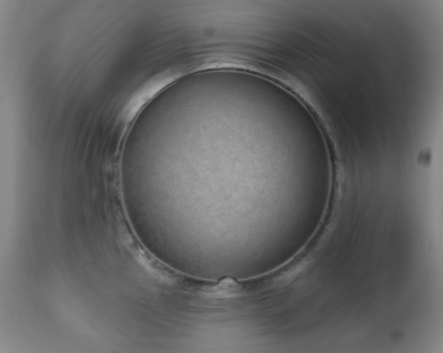 X0000110961145200906191306