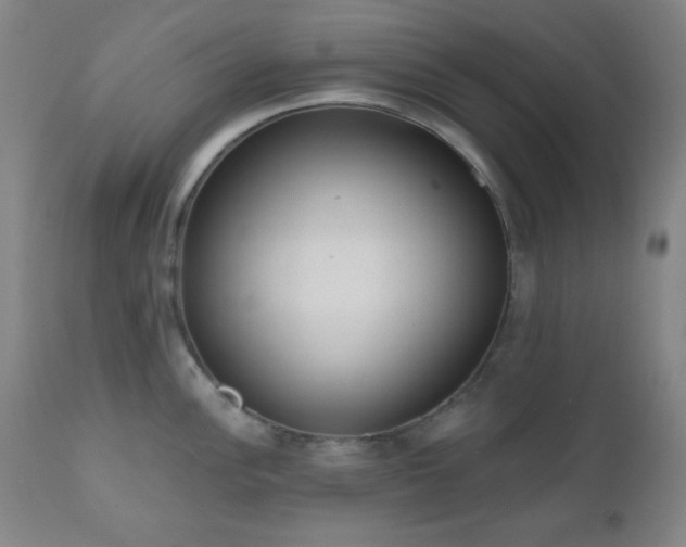 X0000110961148200906191306
