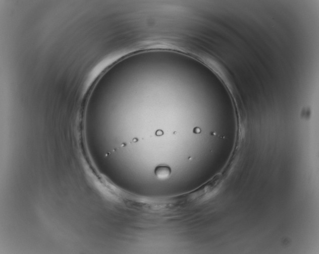 X0000110961149200906191306