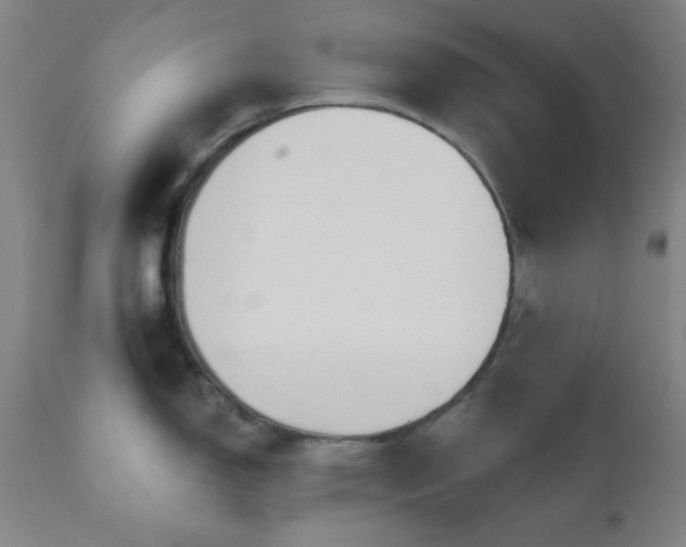 X0000110961150200906191306