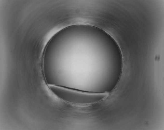 X0000110961152200906191306