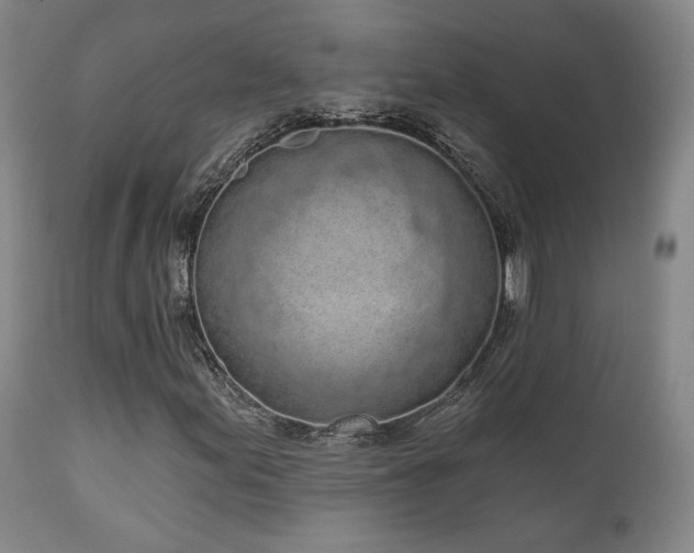 X0000110961155200906191305