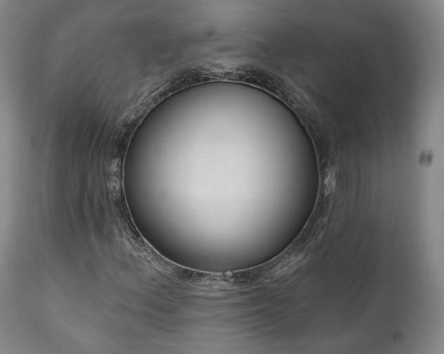 X0000110961156200906191305