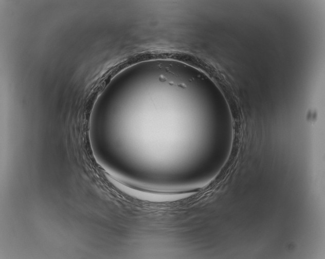 X0000110961157200906191305