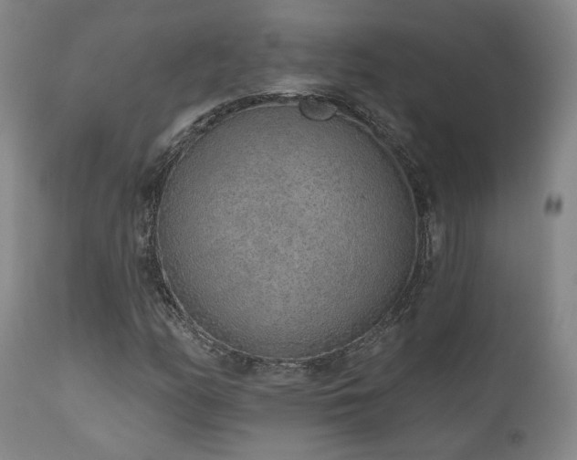 X0000110961158200906191305