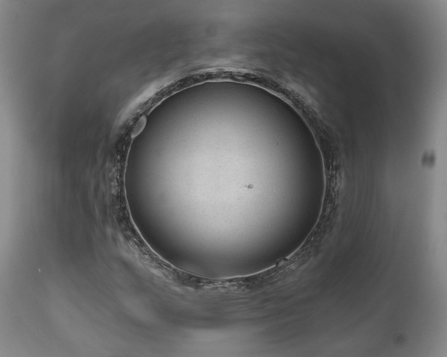 X0000110961159200906191305