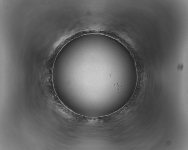 X0000110961160200906191305