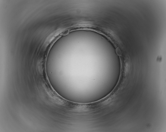 X0000110961162200906191305