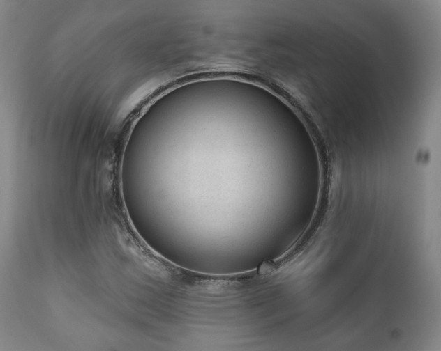 X0000110961163200906191305