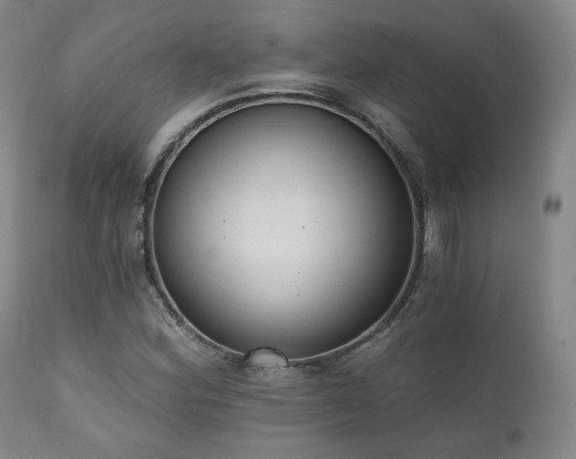 X0000110961164200906191305