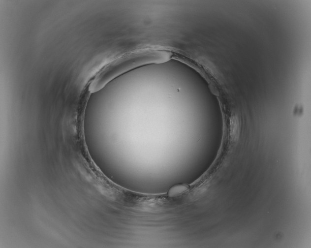 X0000110961165200906191305