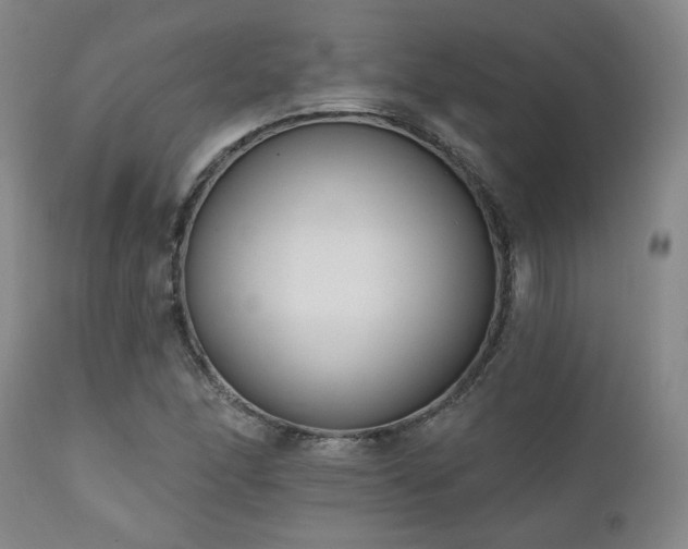 X0000110961166200906191305