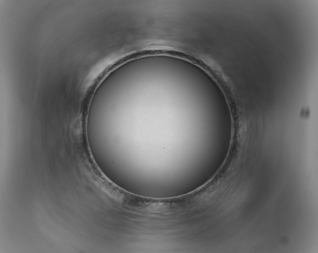 X0000110961167200906191305