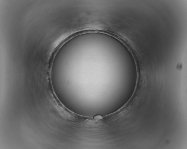 X0000110961168200906191305