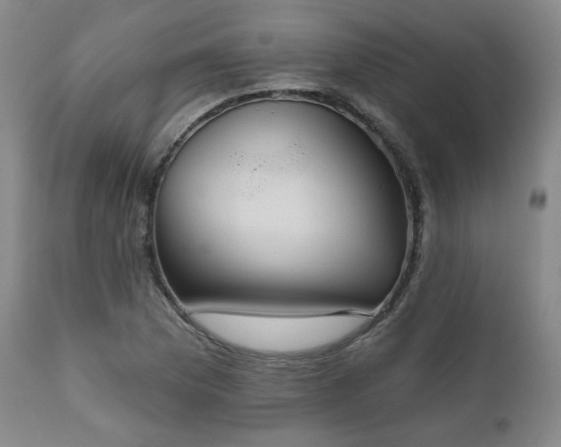 X0000110961169200906191305
