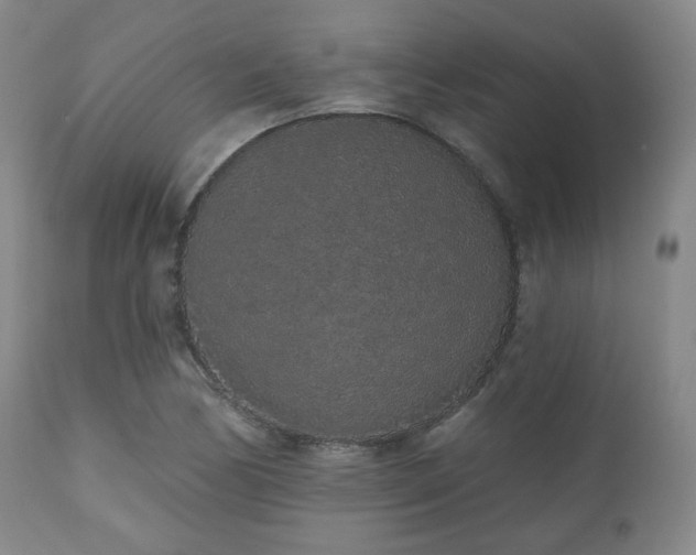 X0000110961170200906191305