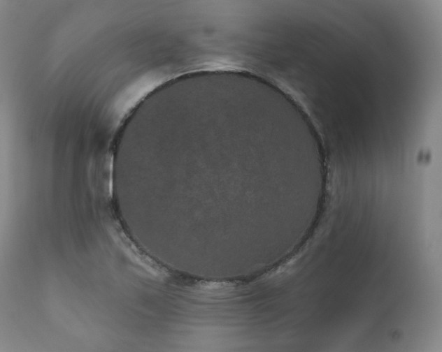 X0000110961171200906191305