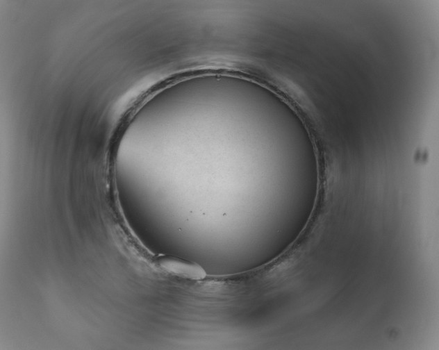 X0000110961172200906191305