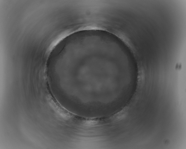 X0000110961173200906191305