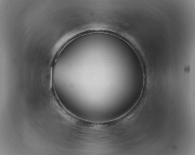 X0000110961175200906191305