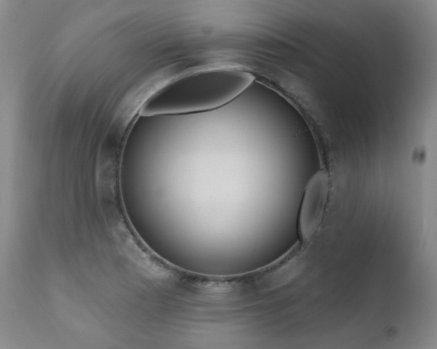 X0000110961177200906191305