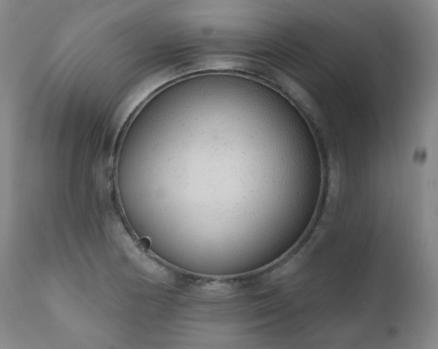 X0000110961178200906191305