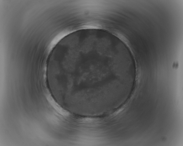 X0000110961179200906191305