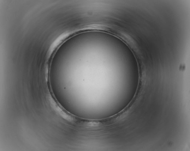 X0000110961180200906191305