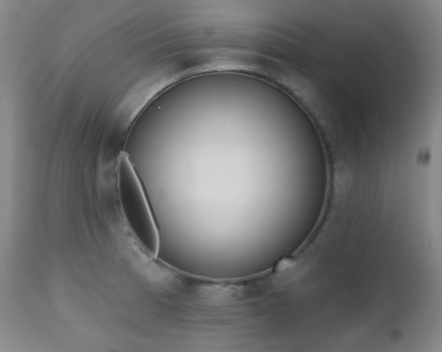 X0000110961185200906191305