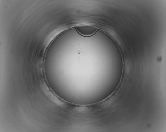 X0000110961186200906191305