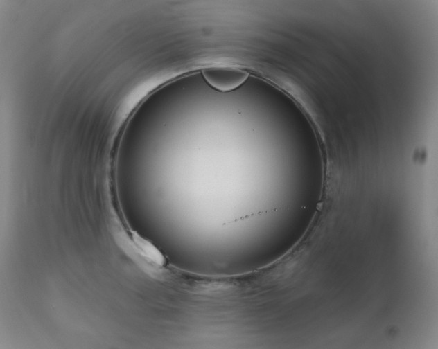 X0000110961187200906191305