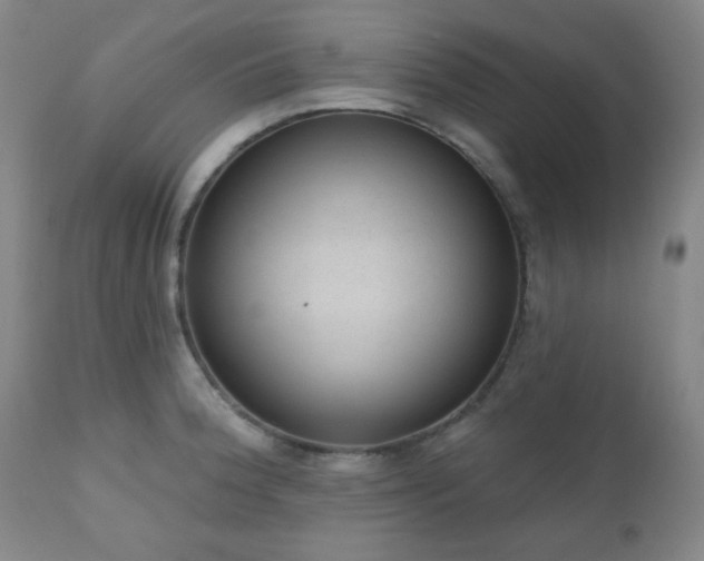 X0000110961188200906191305