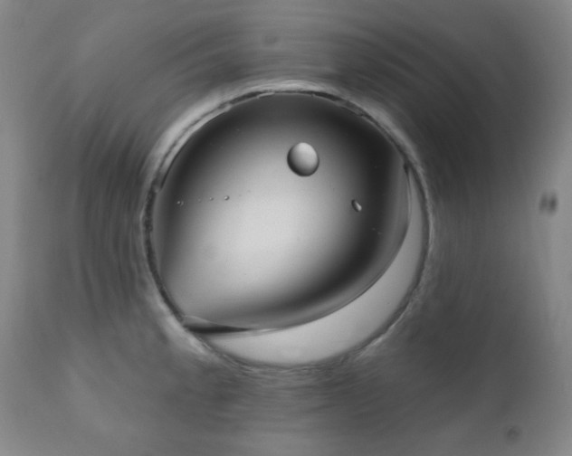 X0000110961189200906191305