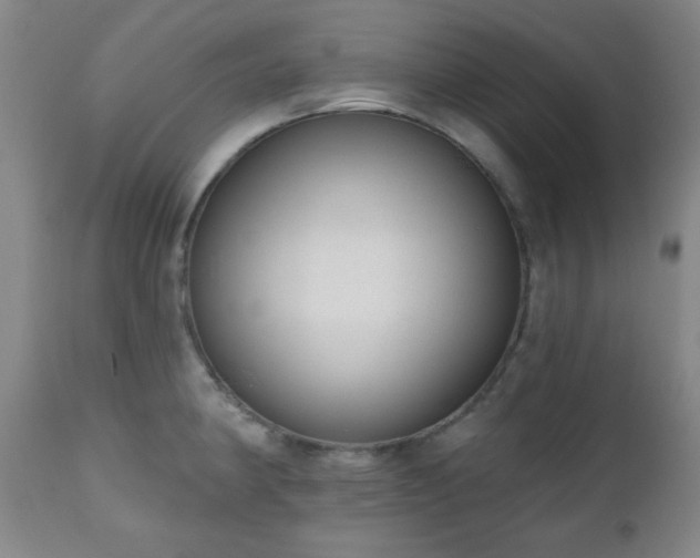 X0000110961190200906191305