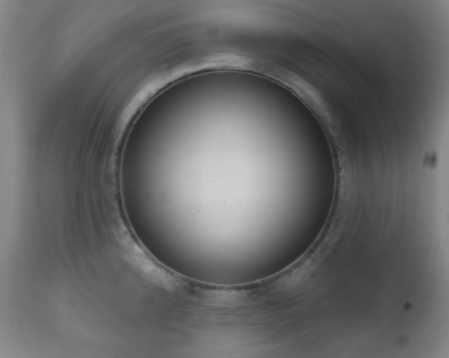 X0000110961192200906191305