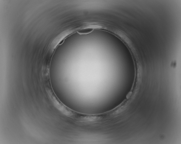 X0000110961193200906191305