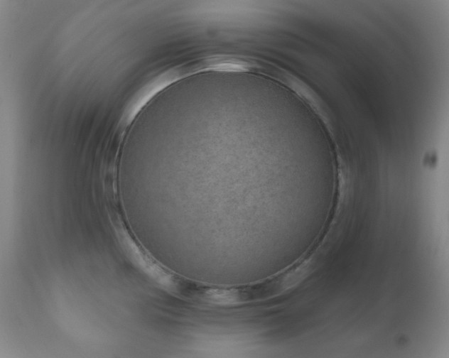 X0000110961194200906191305