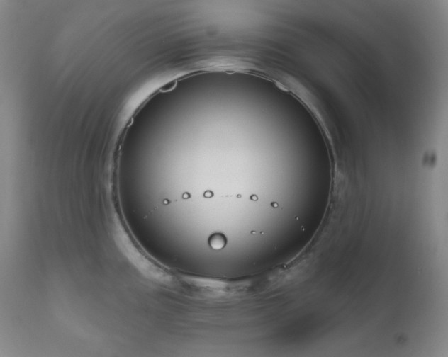 X0000110961195200906191305