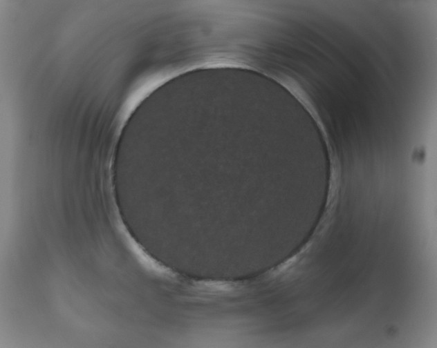 X0000110961197200906191305
