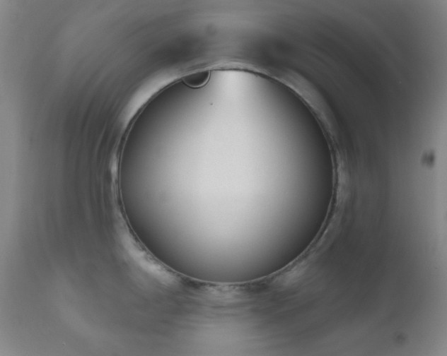 X0000110961198200906191305