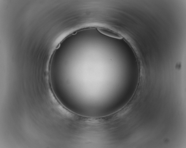 X0000110961199200906191304
