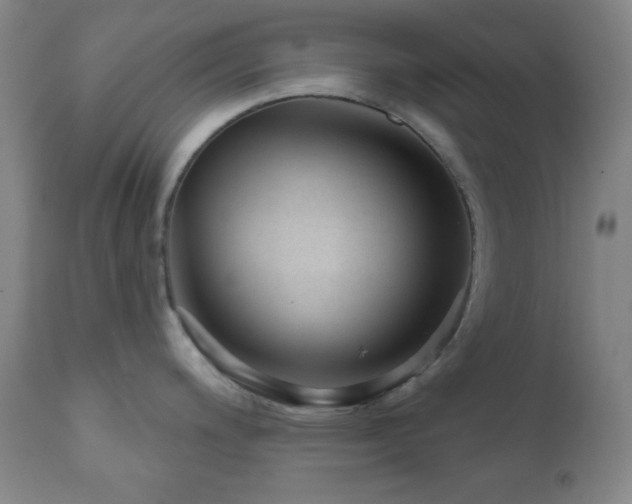 X0000110961200200906191304