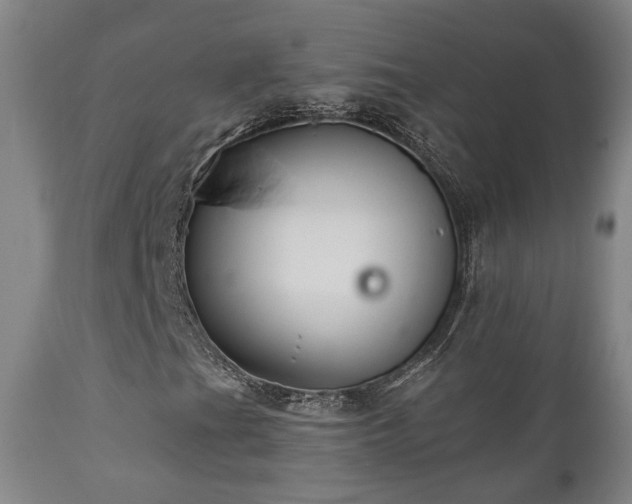 X0000110961201200906191304